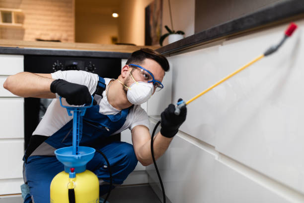 Best Wasp Removal Services  in Snyderville, UT