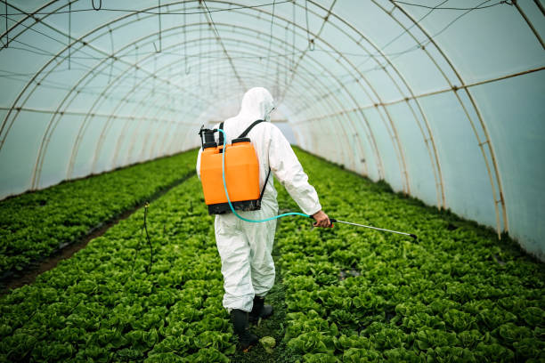 Best Pest Control Near Me  in Snyderville, UT