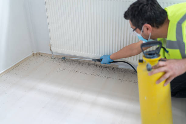 Best Pest Removal Services  in Snyderville, UT